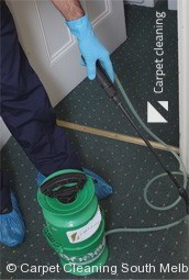 Professional Carpet Cleaners South Melbourne 3205